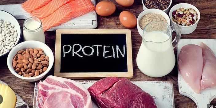 protein foods